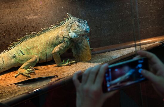 Petting zoo in Moscow