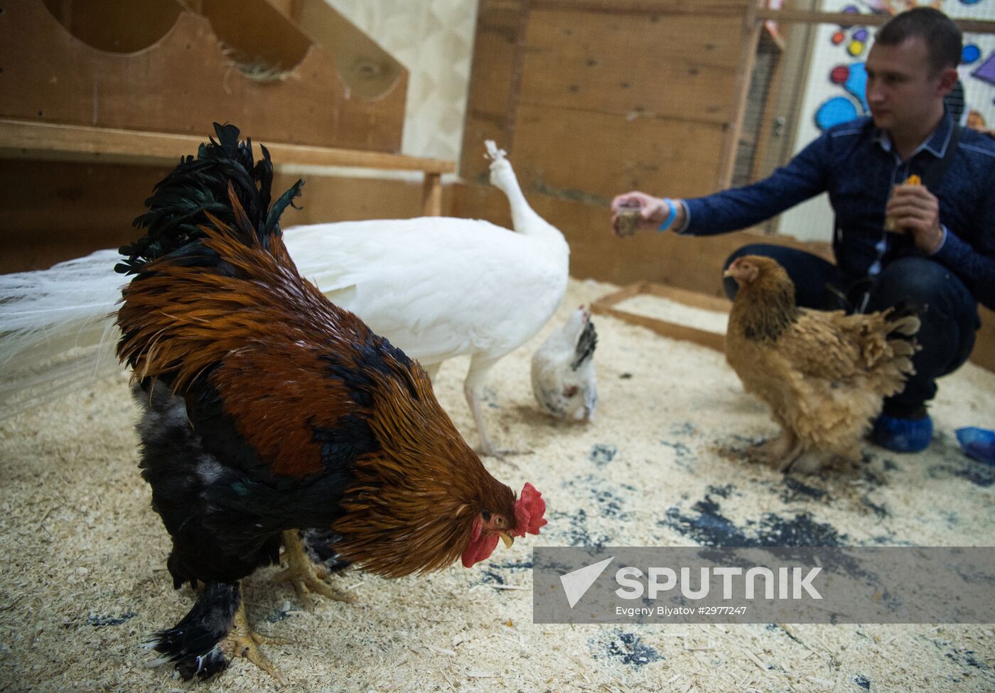 Petting zoo in Moscow