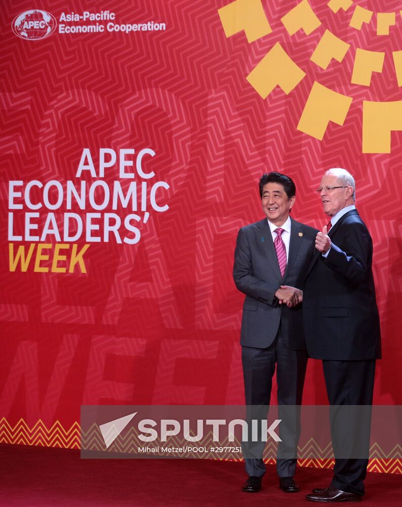 Presient Putin at APEC Summit in Peru. Day Two