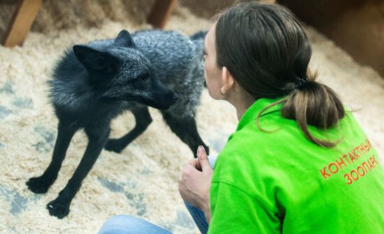 Petting zoo in Moscow