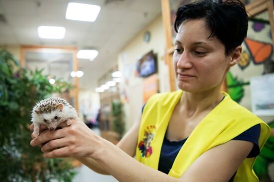 Petting zoo in Moscow