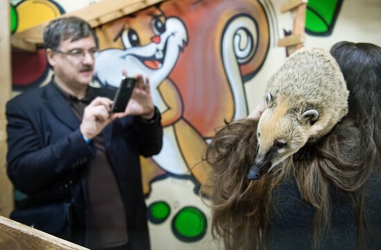 Petting zoo in Moscow