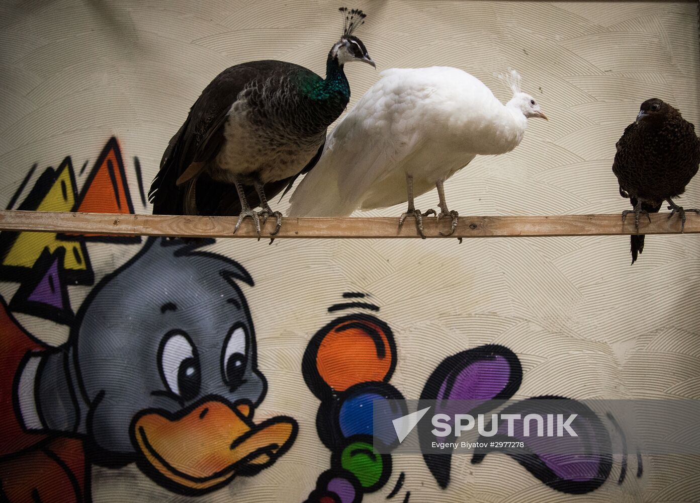 Petting zoo in Moscow