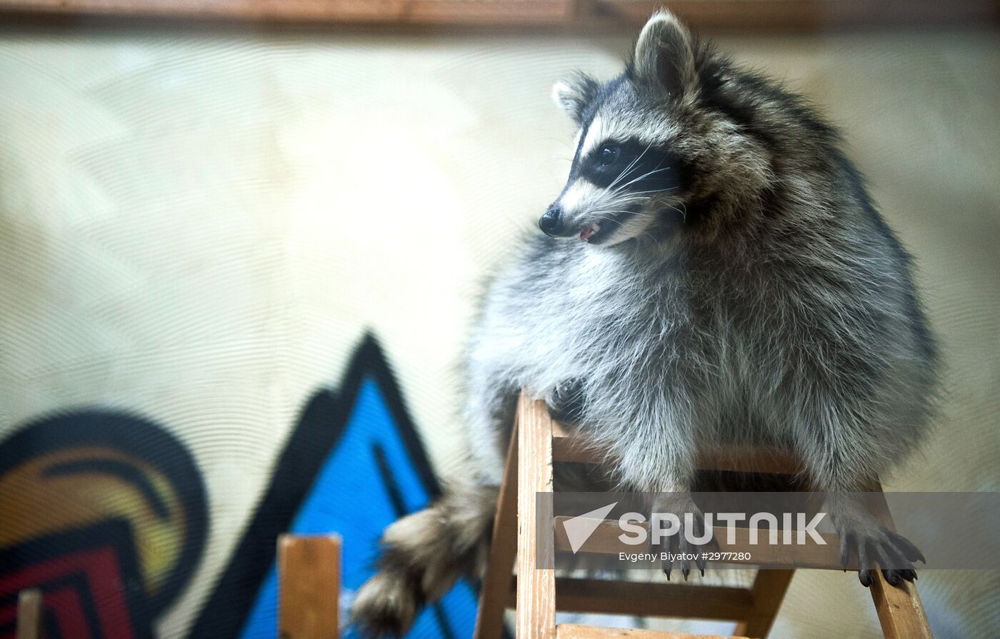Petting zoo in Moscow