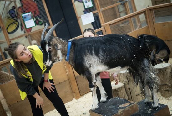 Petting zoo in Moscow