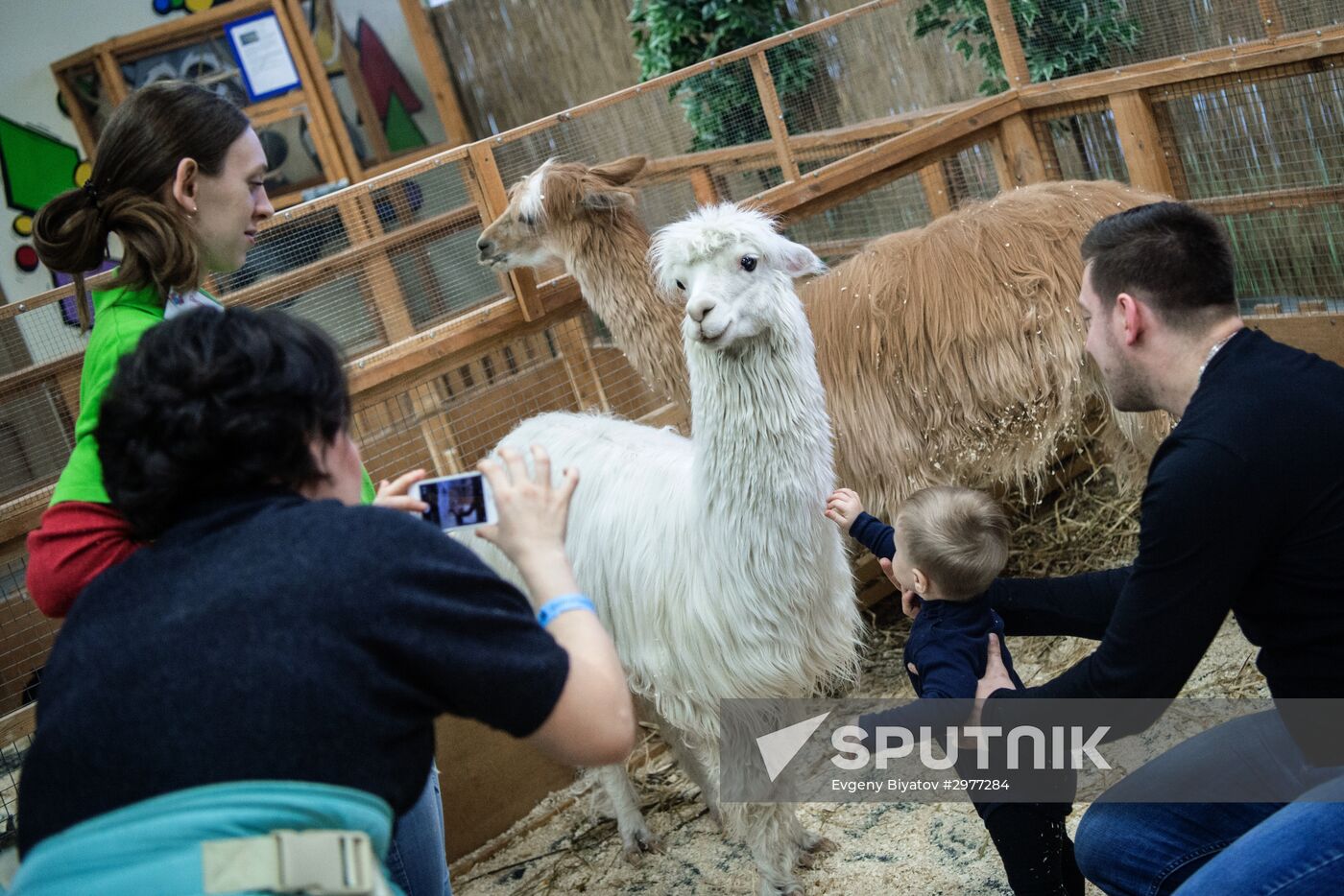 Petting zoo in Moscow