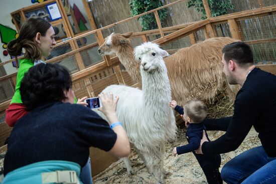 Petting zoo in Moscow