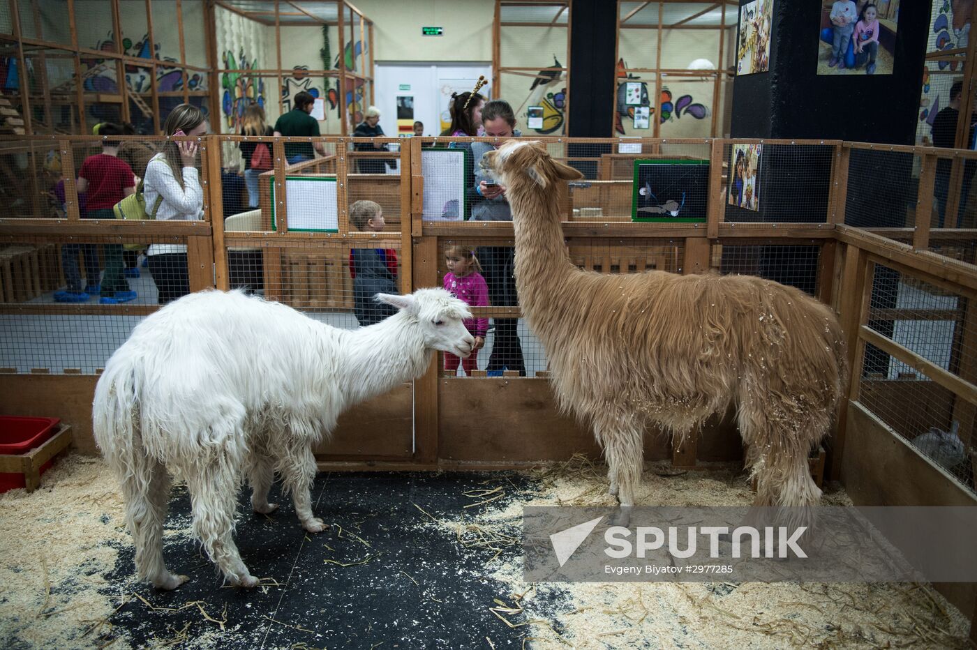 Petting zoo in Moscow