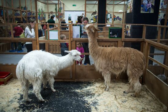 Petting zoo in Moscow