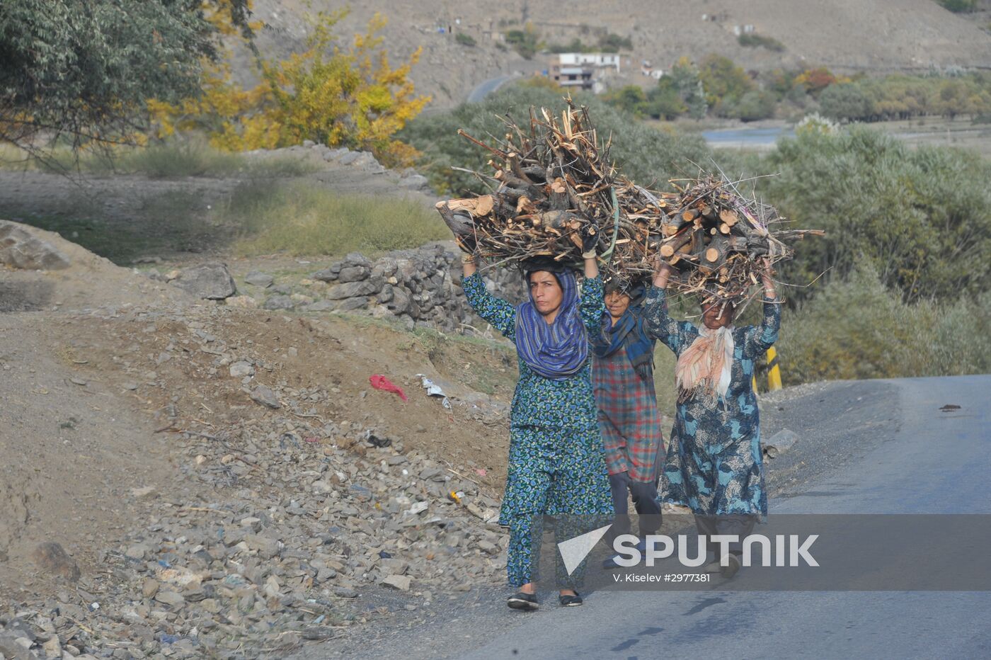 Brushwood carriers in Panjshir Province