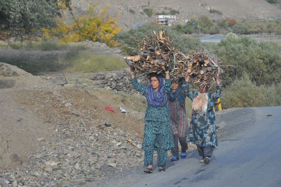 Brushwood carriers in Panjshir Province