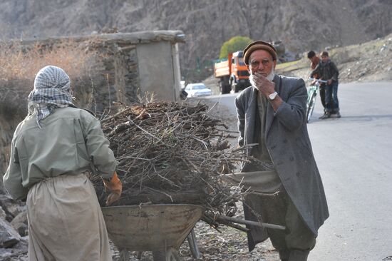 Gathering brushwood in Panjshir Province