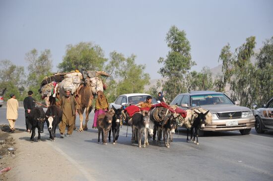 Nomads on Kabul-Jalalabad Highway