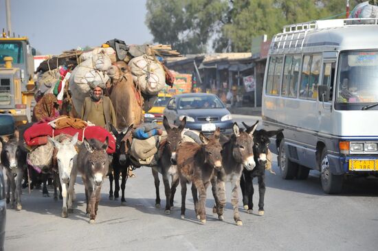 Nomads on Kabul-Jalalabad Highway