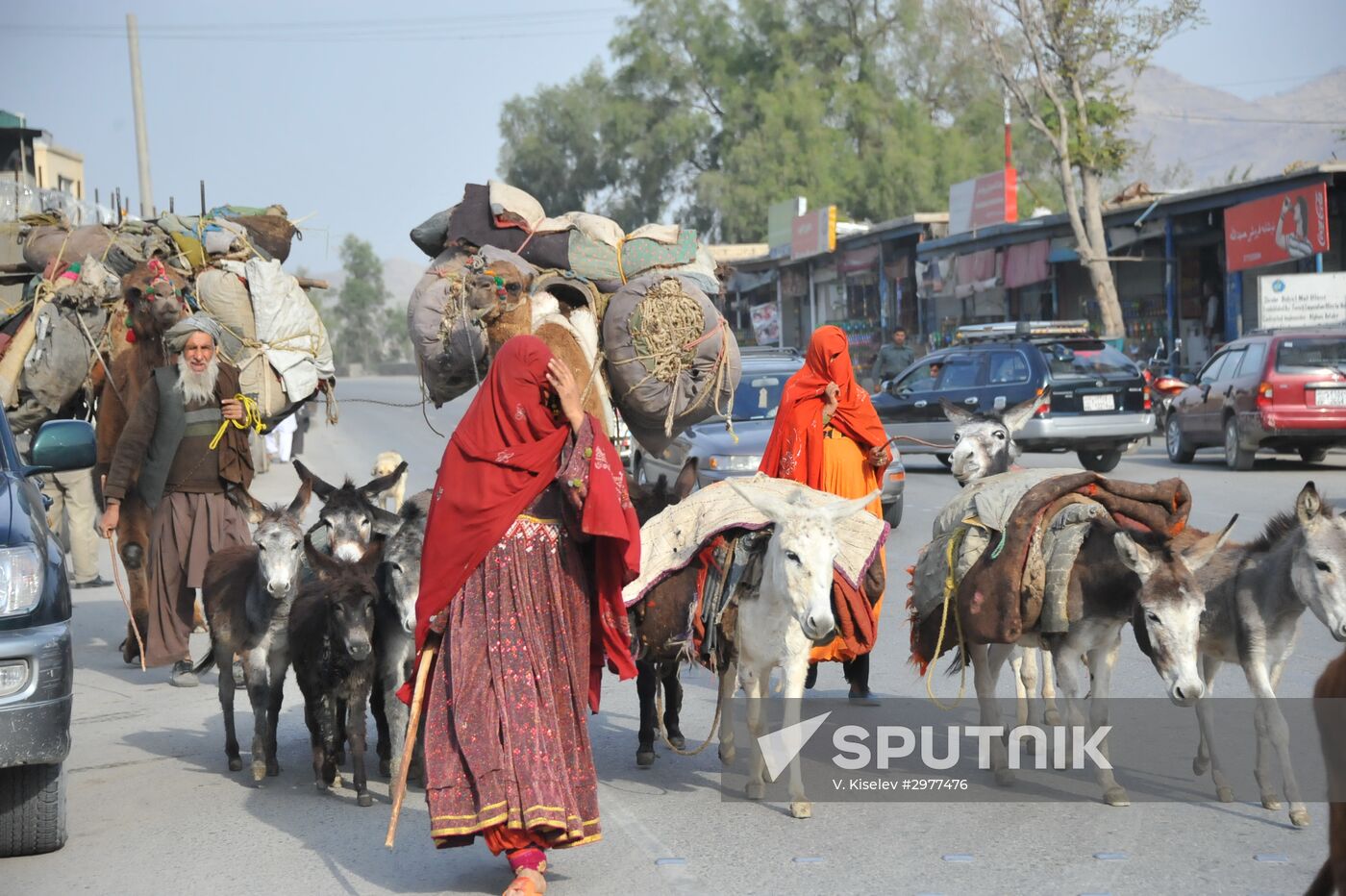 Nomads on Kabul-Jalalabad Highway