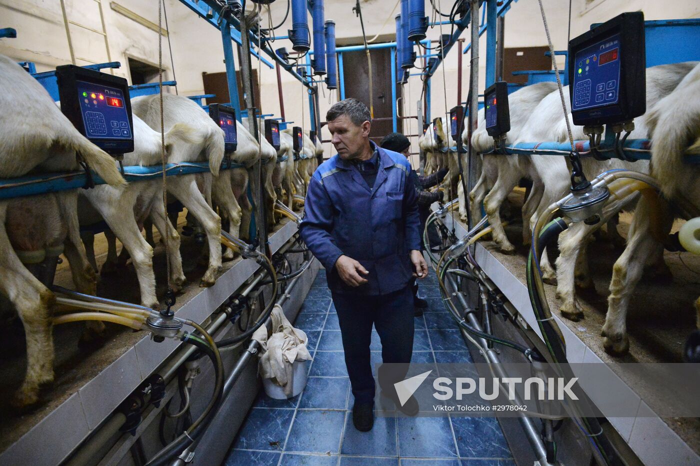 DAK farm enterprise in Belarus