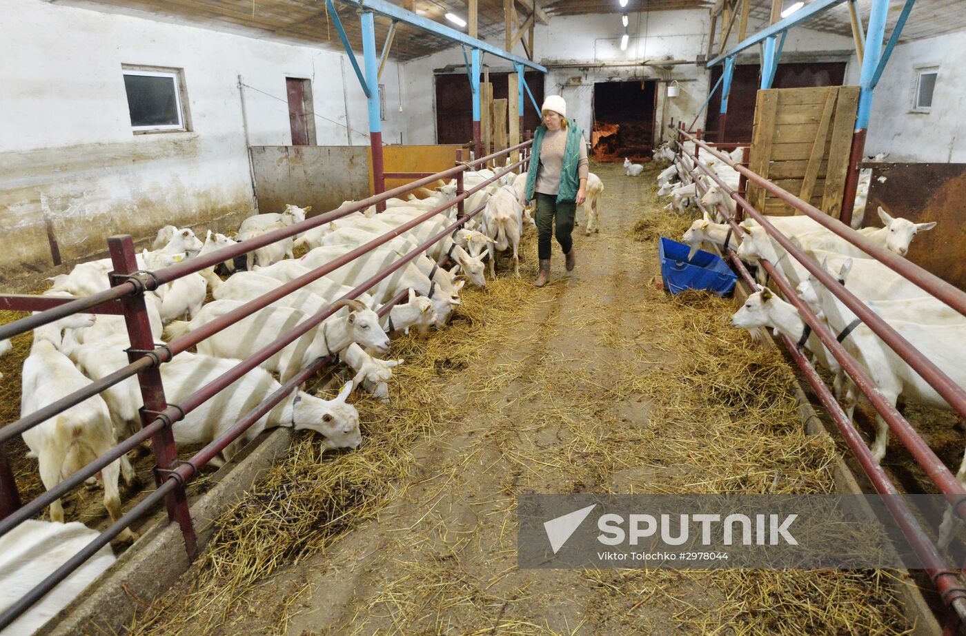 DAK farm enterprise in Belarus