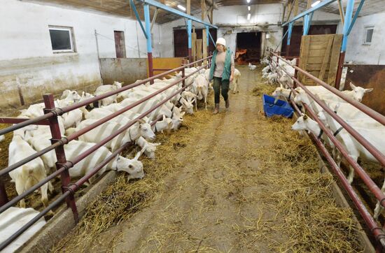 DAK farm enterprise in Belarus