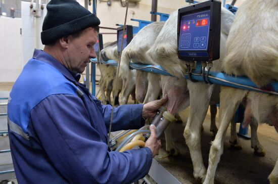 DAK farm enterprise in Belarus