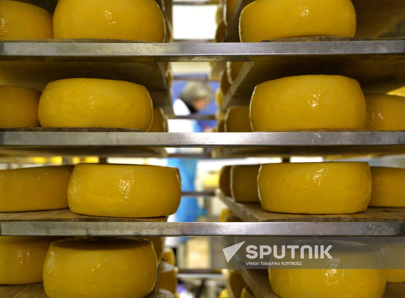 DAK farm enterprise in Belarus