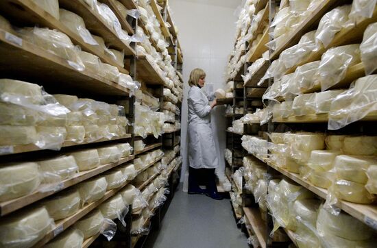 DAK farm enterprise in Belarus
