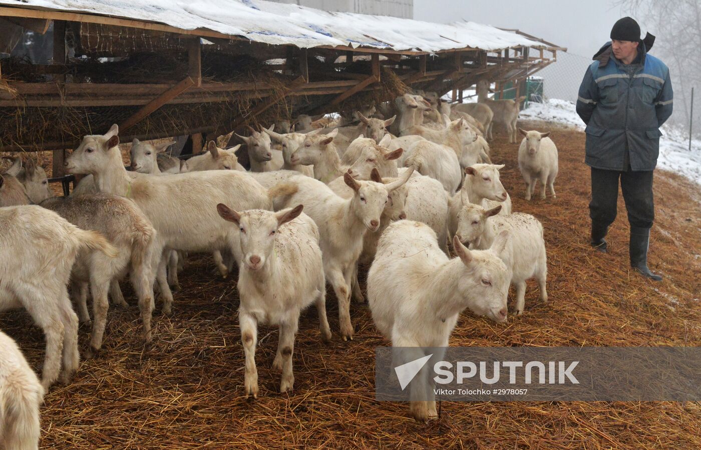 DAK farm enterprise in Belarus