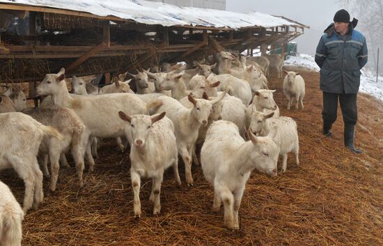 DAK farm enterprise in Belarus