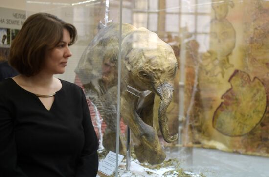 Findings at the World's End exhibition opens