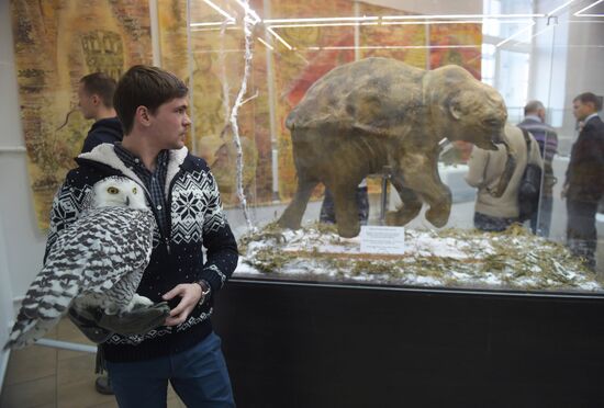 Findings at the World's End exhibition opens