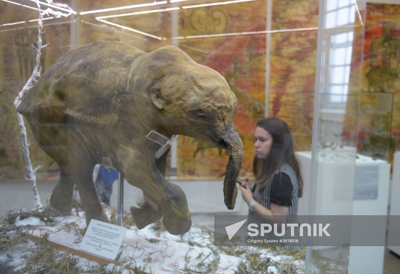 Findings at the World's End exhibition opens