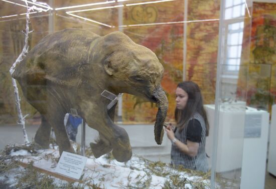 Findings at the World's End exhibition opens