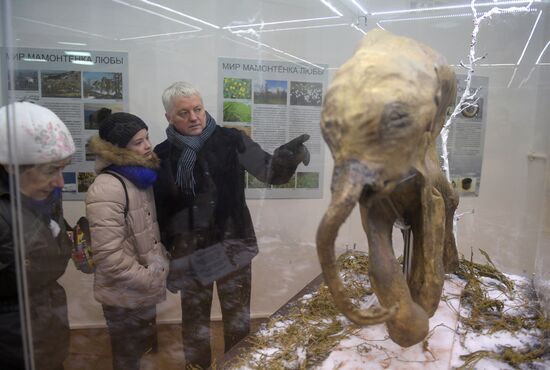 Findings at the World's End exhibition opens