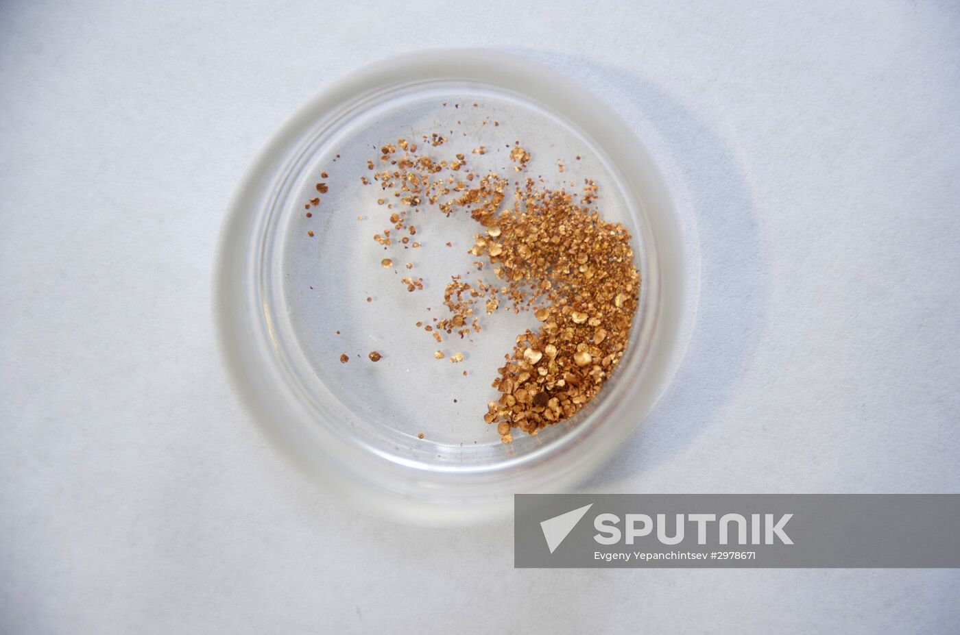 Savkinskoye gold deposit in Trans-Baikal Territory