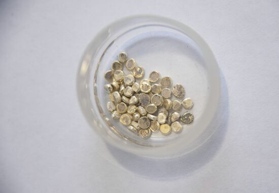 Savkinskoye gold deposit in Trans-Baikal Territory