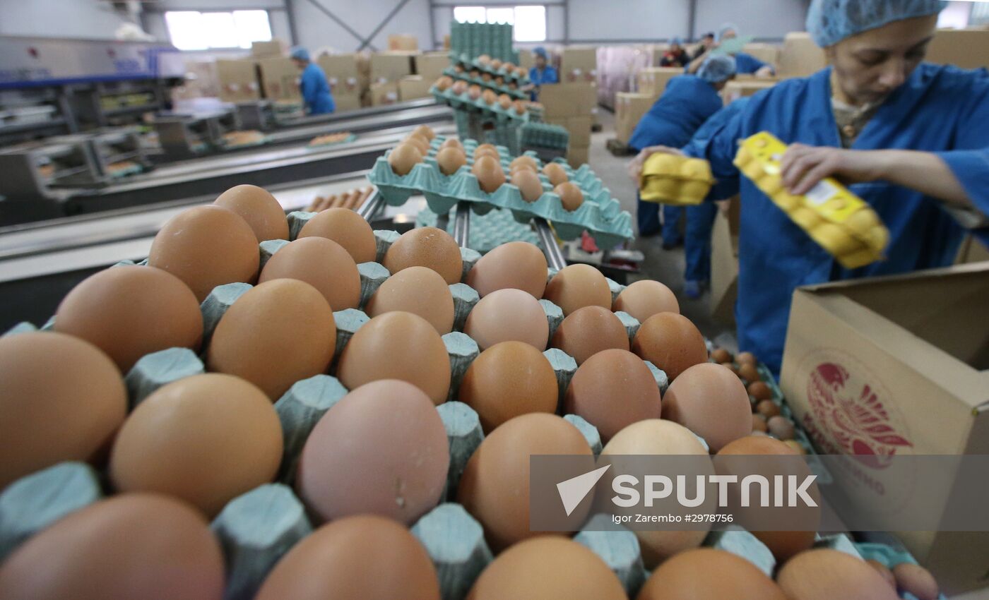 Guryevskaya poultry factory in Kaliningrad Region
