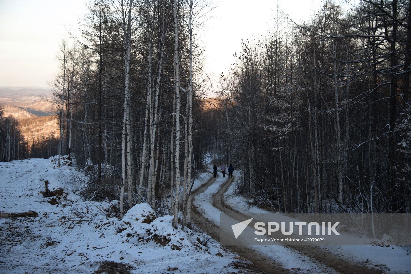Gold mines in Trans-Baikal Territory