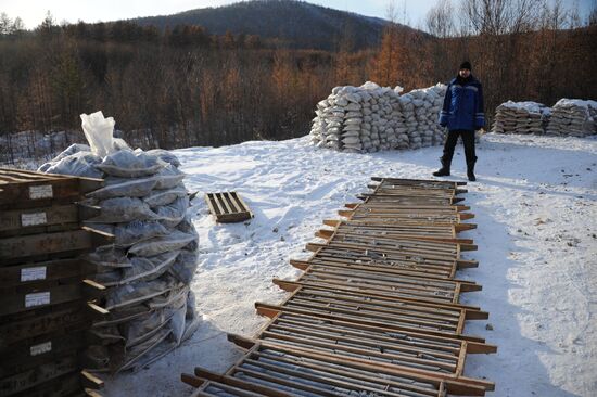 Gold mines in Trans-Baikal Territory