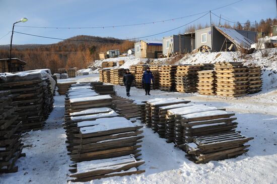 Gold mines in Trans-Baikal Krai