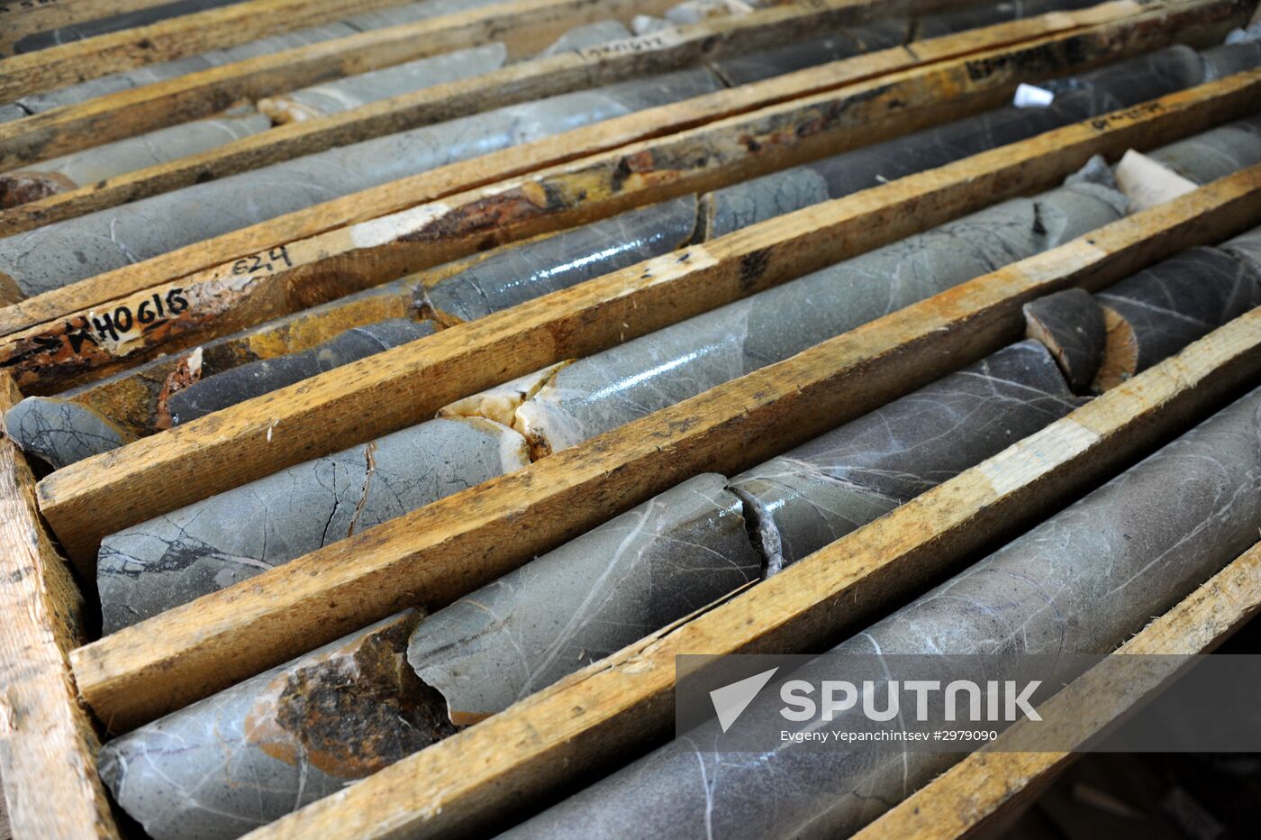 Gold mines in Trans-Baikal Krai