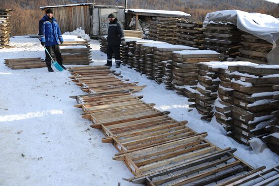 Gold mines in Trans-Baikal Territory