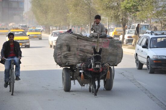 Animal-powered transport in Herat