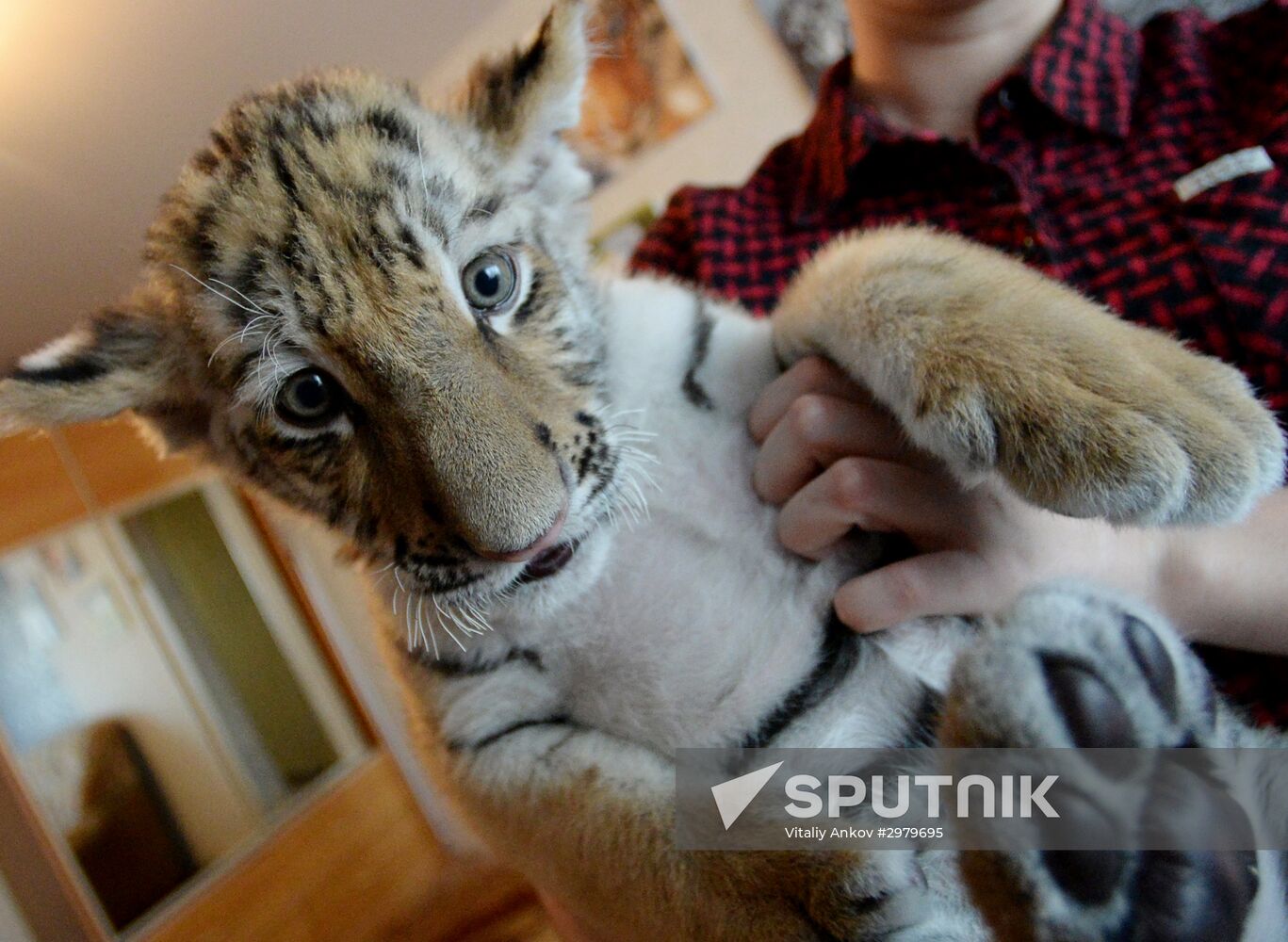 Primorye Safari Park