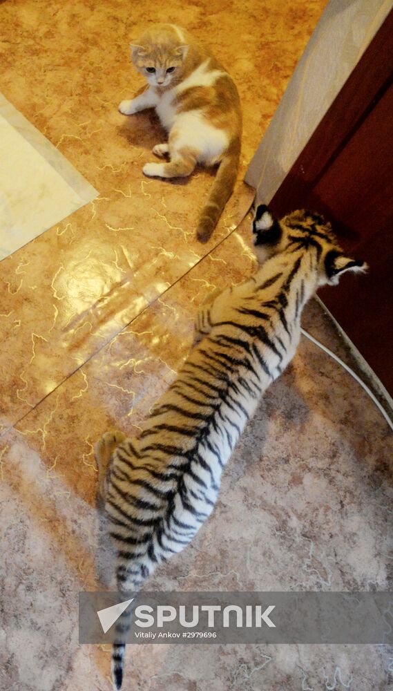 Primorye Safari Park