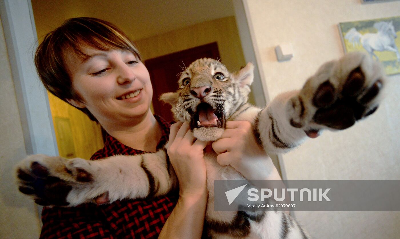 Primorye Safari Park