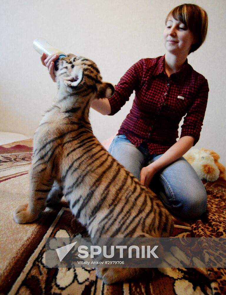 Primorye Safari Park