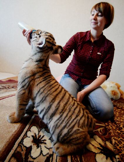 Primorye Safari Park