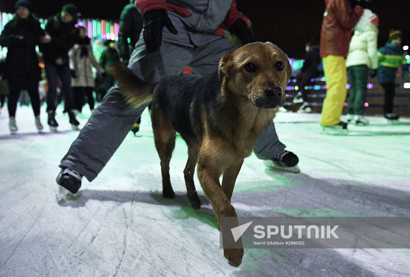 Skating Rink opens at VDNKh