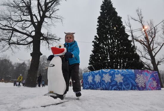 Serebryany Lyod (Silver Ice) skating rink opens in Izmaylovsky Park