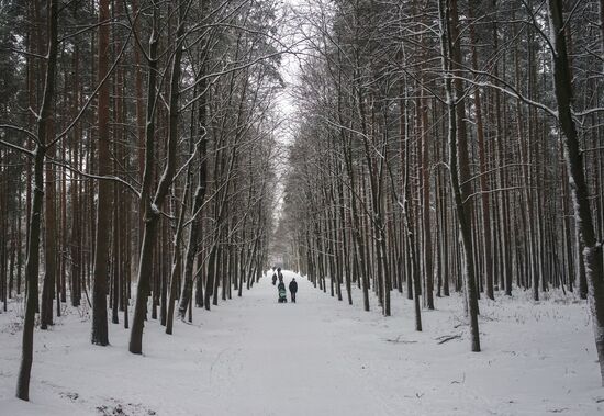 Winter in St. Petersburg