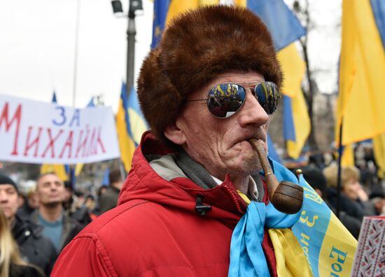 Open Rada protest rally in Kiev